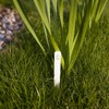 Browin 720901 (30pcs+pen) plant signs plant plugs signs