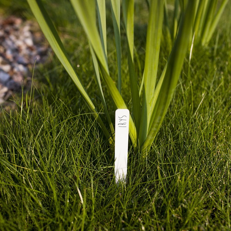 Browin 720901 (30pcs+pen) plant signs plant plugs signs