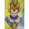 3D Holographic Lenticular Poster 3-in-1 SSJVegeta, SSJB Vegeta!!! 🔥 🔥