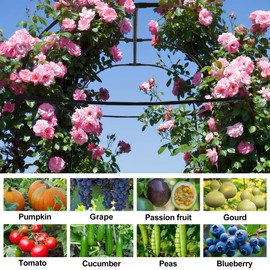 AlisisFores Garden Arch Trellis for Climbing Plants Outdoor 7.2 ft Height Large Tunnel Trellis Support for Vegetables Plant Cucumber Trellis for Garden Raised Bed, Black