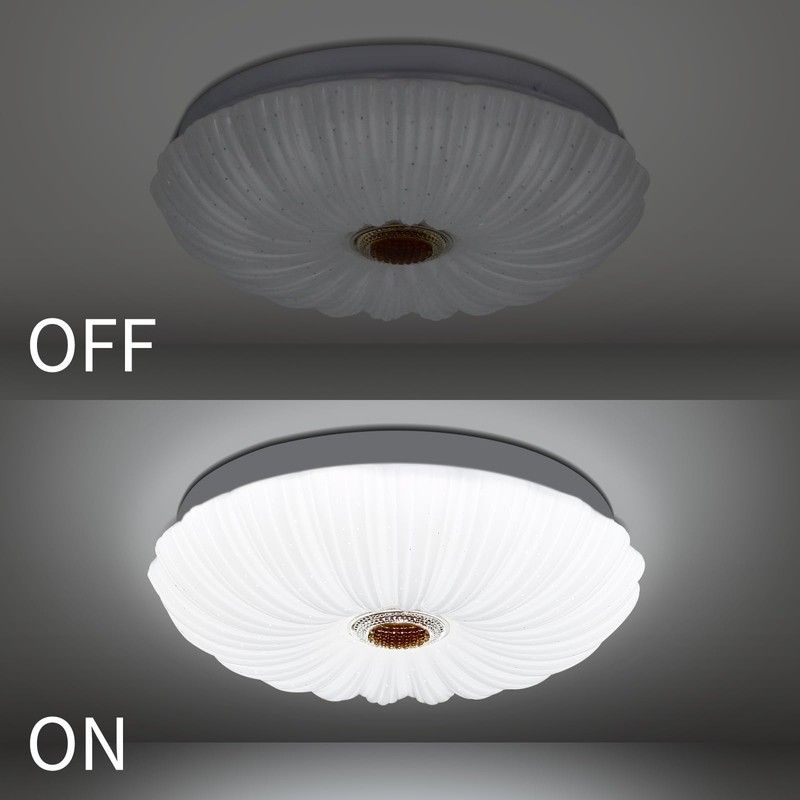 VIPMOON 22W LED Passage Ceiling Light, High Brightness Flush Light,