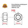 ProRaje Pack of 10 NYLSTOP Nuts M6 Stainless Steel Undelayed