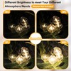 60FT Outdoor String Lights Waterproof, Bright 2700K LED Patio Lights