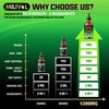 MILIVOL 5in1 Oregano Oil Liquid Drops with Black Seed, Elderberry,