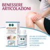 armonutra - Integratore Alimentare per il Benessere delle Articolazioni -