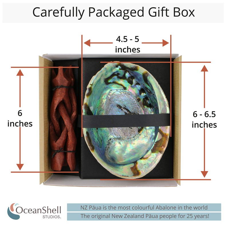 Natural Abalone (Pāua) Shell, with Stand,6-6.5 Inches,Supreme for Smudging,Cleansing Home,Meditation,Shell