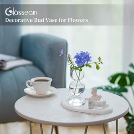 Glasseam Unique Small Flower Vase, Cute Blown Glass Vases for Flowers, Modern Ball Bubble Vase, Clear Bud Vases for Decor, Aesthetic Single Flower Vase, Round Decorative Vases for Centerpieces