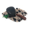 Cave Rock Pet Prehistoric Gag Gift with Adoption Certificate