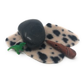 Cave Rock Pet Prehistoric Gag Gift with Adoption Certificate