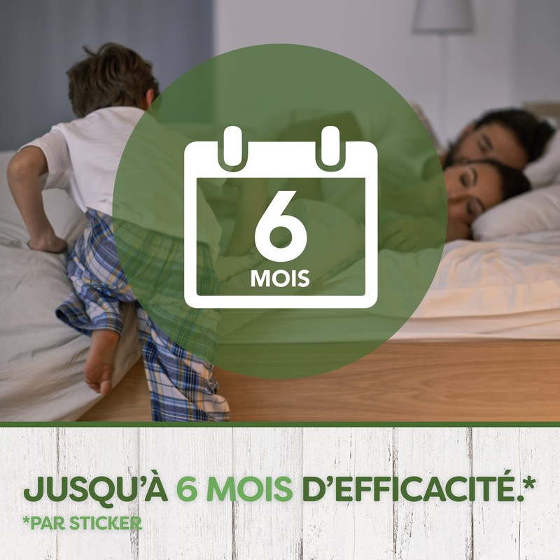 Pyrel Fly Traps and Fruit Flies - Window Stickers, Iris