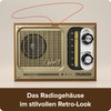 FRANZIS 67226 - The FM Radio for DIY (without soldering)