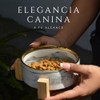 Paquete de 2 Platos para Perro y Gato de Cerámica