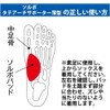 Sorbo Tateo Arch Supporter for Arch Thin 63297 (L(25-27.5cm))