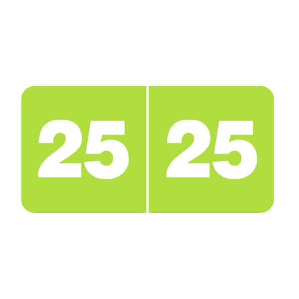 2025 Year Stickers,3/4" x 1-1/2" Green Rectangle Colored Year Labels