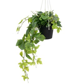 MyGift Artificial Trailing Hanging Basket Plants Variety Faux Greenery Leaves Fern Foliage in Black Planter Pot, Decorative Indoor Fake Plants