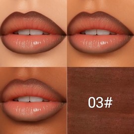 Erinde Lápiz Delineador de Labios Líquido de Precisión, Delineador de Labios Mate Resistente al Agua y de Larga Duración, Tinte de Labios a Prueba de 