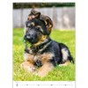 KALPA Puppy Calendar 2024: 12 Month Wall Calendar (24 x