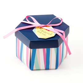 Iroha Publishing SURPRISE BOX ALBUM SAM-03 STRIPE