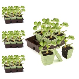 Green Bazzar Side-Open Seed Starter Tray 4-Pack, 24 Cells Modular Design with Detachable Plant Cells, Extra-Large 2.36"x2.28" Cells, Reusable Seed Germination Kit for Indoor & Outdoor Gardening