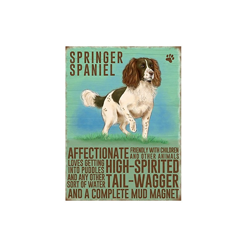Fridge Magnet - Springer Spaniel Dog