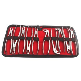 OdontoMed2011 10 Pieces of EXTRACTING Forceps Extraction Dental Instruments Dental Tools Set KIT ODM