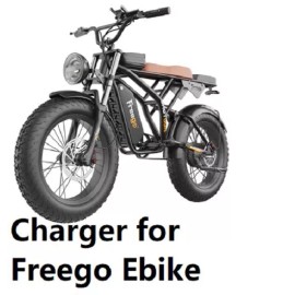 For Freego AC Adapter Charger For Freego 48v EV Eectric Scooter E-Bike x20 DK200