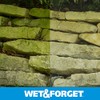 Wet & Forget No Scrub Outdoor Cleaner for Easy Removal