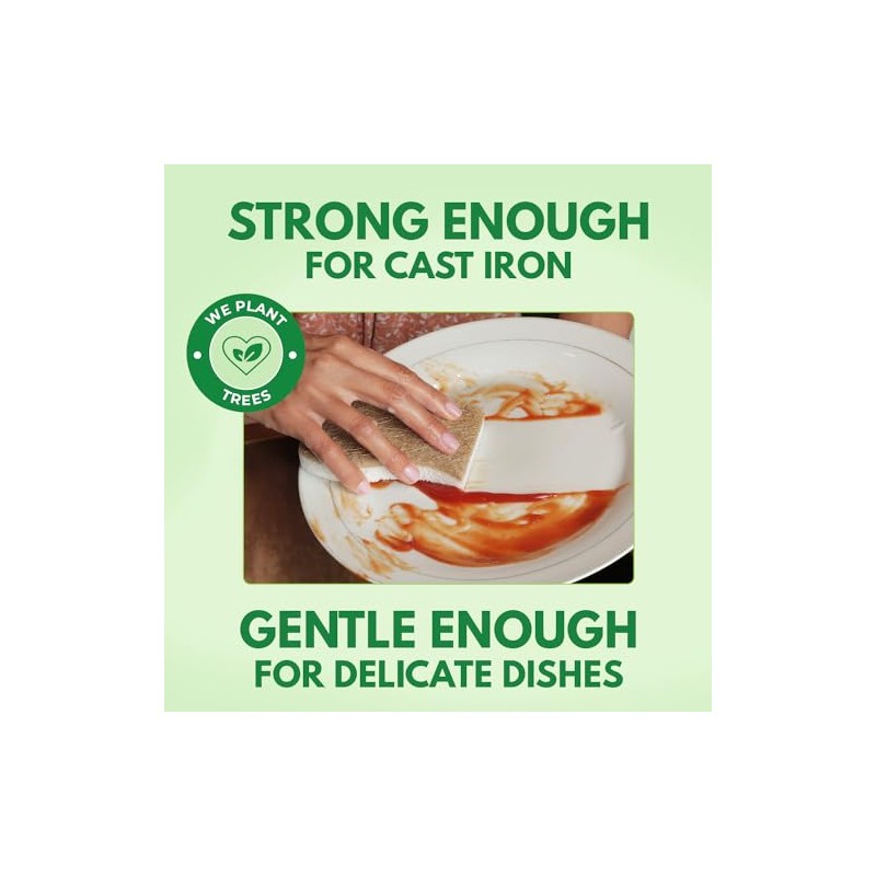 AIRNEX Esponja de Cocina Natural Biodegradable – Esponja de celulosa