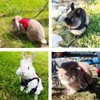Pettom Bunny Rabbit Guinea Pig Harness Stretchy Elastic Leash Cute