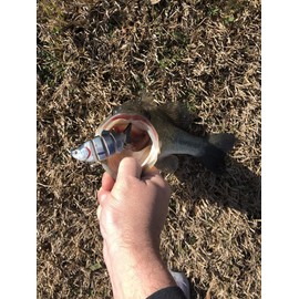 4" Spring Shad Multi Jointed Swimbait Bass Fishing Lure Bait Hard Slow Fast Sinking Life Like Big Gizzard Shad Minnow Bluegill Dark Sleeper Hooks (4" Rainbow Trout Injured)