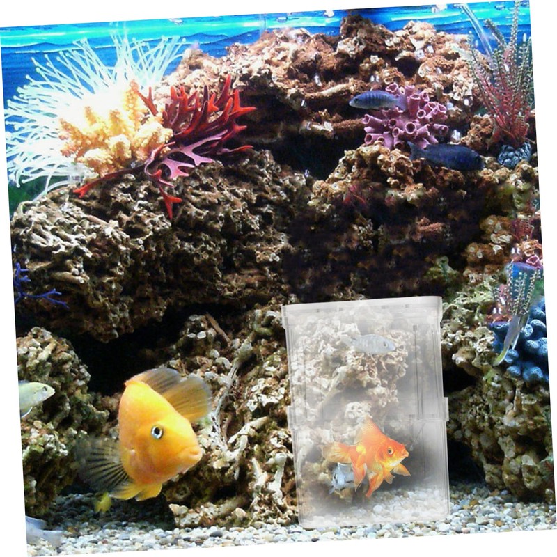 NOLITOY 4pcs Fish Breeding Box Small Aquarium Isolation Containers with