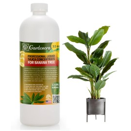 𝐏𝐑𝐎𝐅𝐄𝐒𝐒𝐈𝐎𝐍𝐀𝐋 Liquid Silica Plant Supplement - 32oz - Banana Tree Plants Liquid Silica Boost Fertilizer - Stronger Stems & Healthy Leaves for Indoor & Outdoor Plants (Makes 180 Gallons)