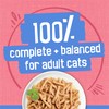Purina Friskies Shreds With Salmon in Sauce Wet Cat Food