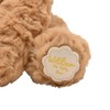 The Softies - William The Brown Teddy Bear Sitting Plush