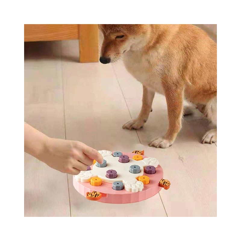 Interactive Pet Treat Dispenser - Slow Feeder, Brain Game, Puzzle,