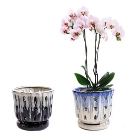 NiSevenLiving Orchid Pots with Holes Attached Saucers 5 Inches - 2 Pcs Small Ceramic Pots for Repotting, Decorative Ceramic Orchid Planter with Hole for Healthy Root Growth Mixed Color