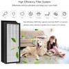 VEVA 8000 Replacement Filter, Compatible with VEVA 8000 Elite Pro