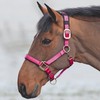 Shires Topaz Nylon Headcollar-Raspberry Full