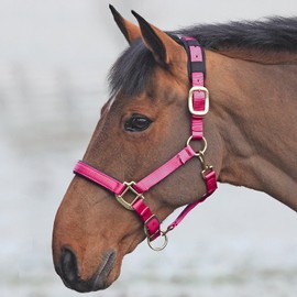 Shires Topaz Nylon Headcollar-Raspberry Full