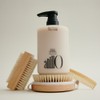 Anilo 블랙티 너리싱 두피 샴푸 Black Tea Nourishing Scalp Shampoo