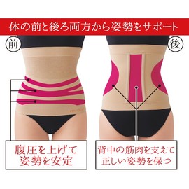 Meidai Lower Back Pain Belt, Supports Lower Back Pain, Prevents Lower Back Pain, Prevents Lower Back Pain, Prevents Back Pain, Prevents Back Pain, Corset, Lower Back Supporter, Lumbar Supporter, Belt, Prevents Overeating (Katano Style, Beautiful Posture 