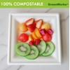 GreenWorks 100 Count 8 Inch Square Compostable Plates, Heavy Duty
