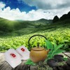 Disposable Tea Filter Bags，100Pcs Nylon Empty Tea Infuser Herb Spice