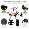 RDOPODNJ (M Dog Rear Leg Brace with Safety Harness and