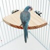 Bird Perch Platform Stand, Wood Cage Platform for Parakeet Cockatiel