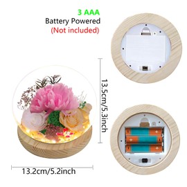 Generic Forever Flowers Pink Rose with LED Light in Glass Dome, for Women Grandma Mom Wife Girlfriend as Birthday Anniversary Mother's Day Valentine's Day Christmas Thanksgiving Gift