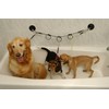 Horizontal Tub Tie Out by Proguard Pets