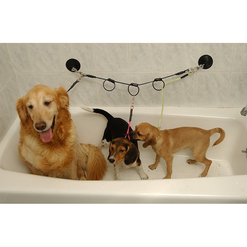 Horizontal Tub Tie Out by Proguard Pets
