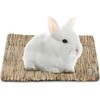 SunGrow Rabbit Grass Mat, Bunny Cage Accessories, Rabbit Stuff and