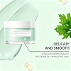 Mascarilla Facial Arcilla Puntos Control Acné-todo De Piel